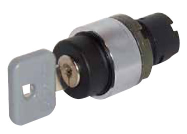 Interrupteur à Clé Tubulaire - 250V 0.5A, 2 Bornes, Parfait Pour Installations électriques